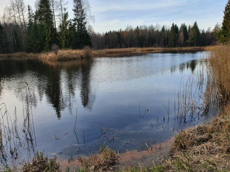 Nadleśnictwo Górowo Iławeckie zaprasza wszystkich miłośników wędkarstwa.