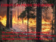 Chroń las przed pożarem