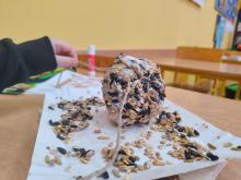 Edukacja leśna w Szkole Podstawowej w Kandytach – nauka przez doświadczenie