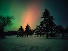 Zorza polarna nad Nadleśnictwem Górowo Iławeckie – co się wydarzyło i dlaczego ją zobaczyliśmy?
