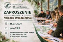 Zaproszenie na naradę